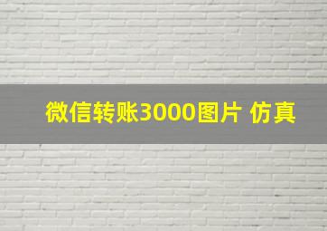 微信转账3000图片 仿真